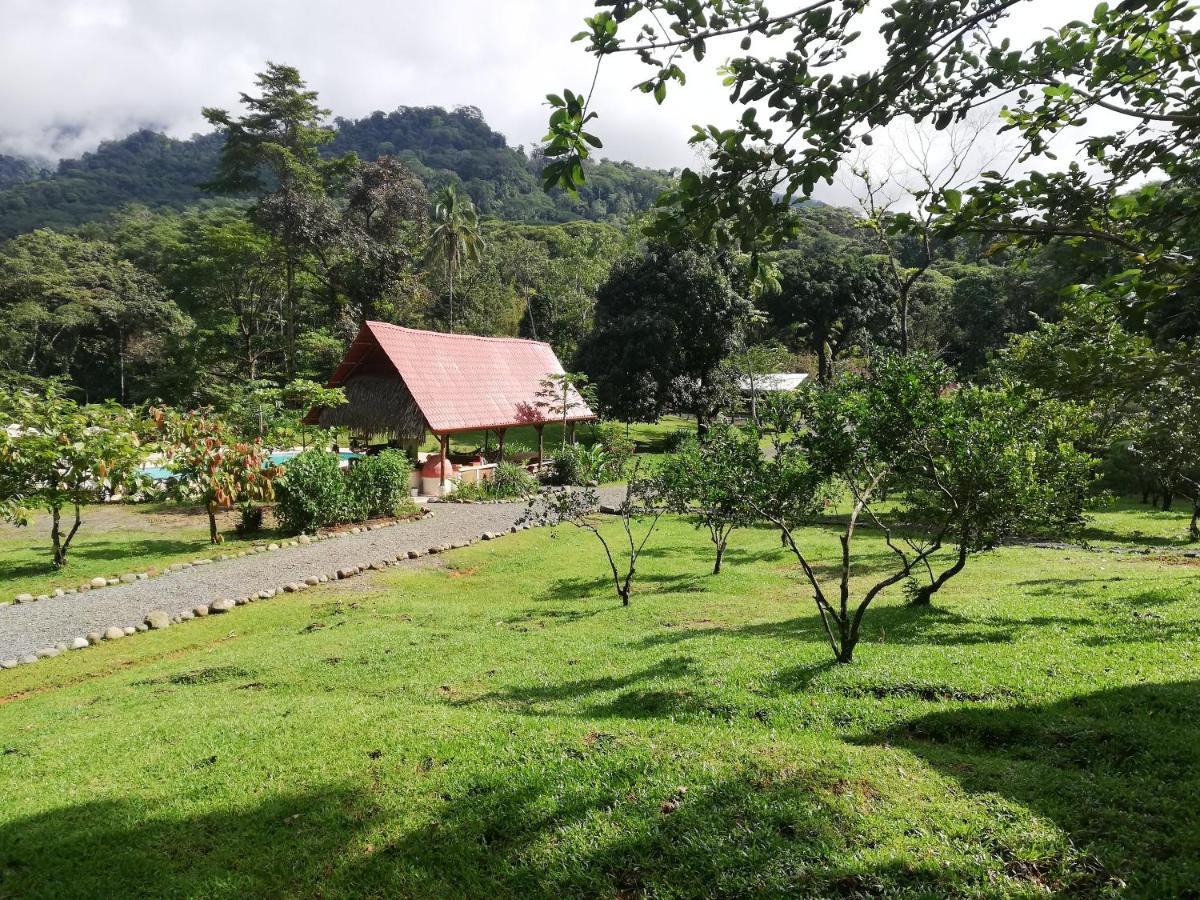 Hacienda Mil Bellezas - Private 40Ha Jungle Reserve Quepos Ngoại thất bức ảnh