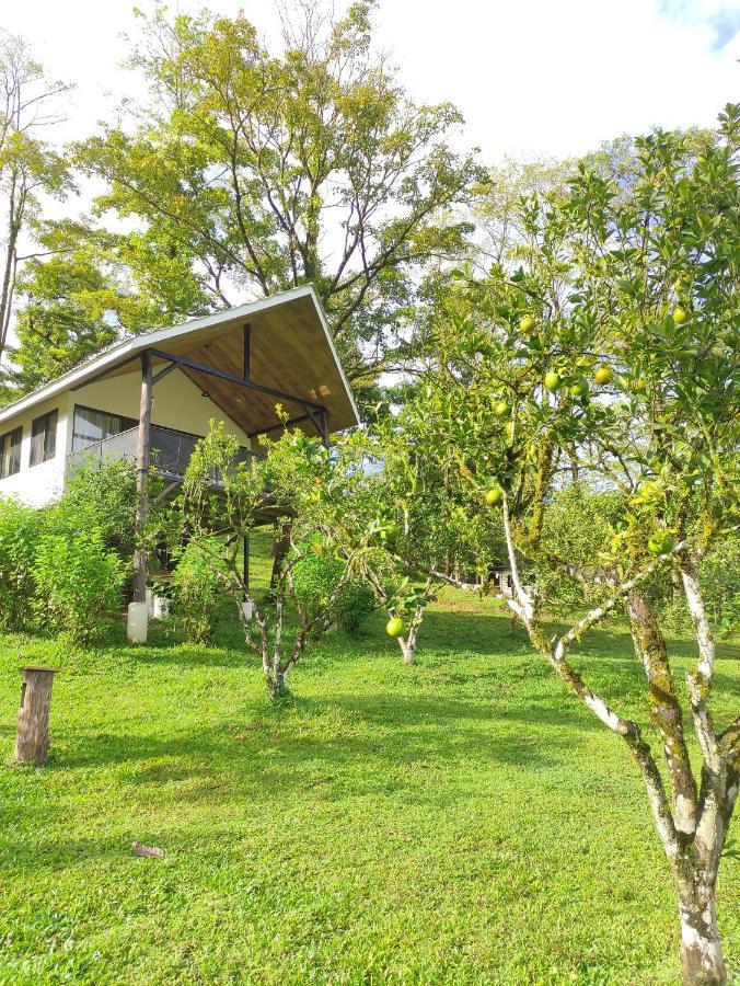 Hacienda Mil Bellezas - Private 40Ha Jungle Reserve Quepos Phòng bức ảnh