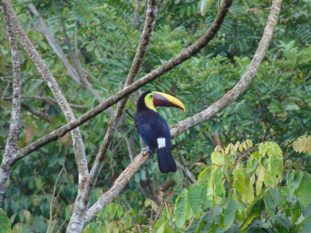 Hacienda Mil Bellezas - Private 40Ha Jungle Reserve Quepos Ngoại thất bức ảnh