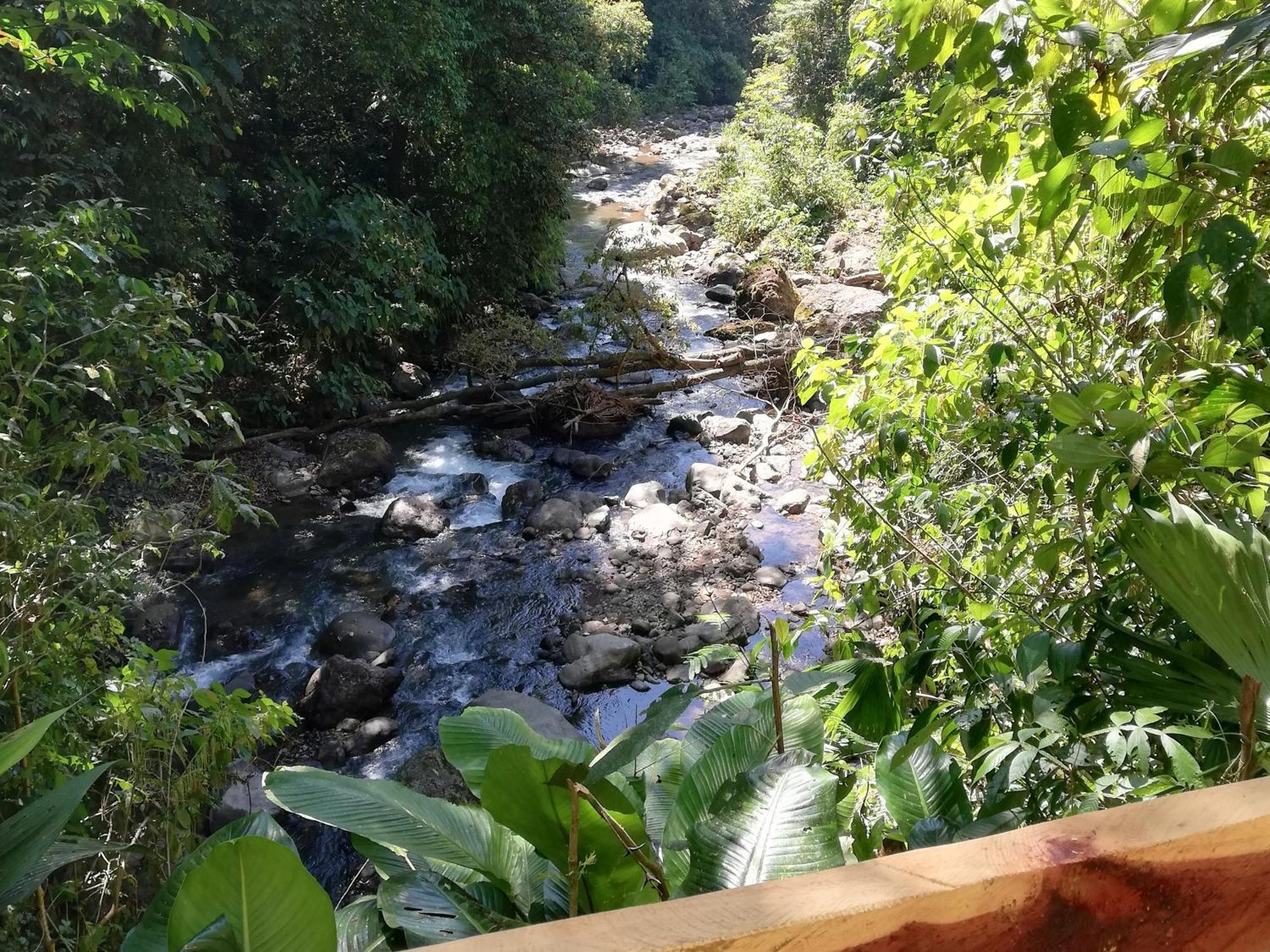 Hacienda Mil Bellezas - Private 40Ha Jungle Reserve Quepos Ngoại thất bức ảnh