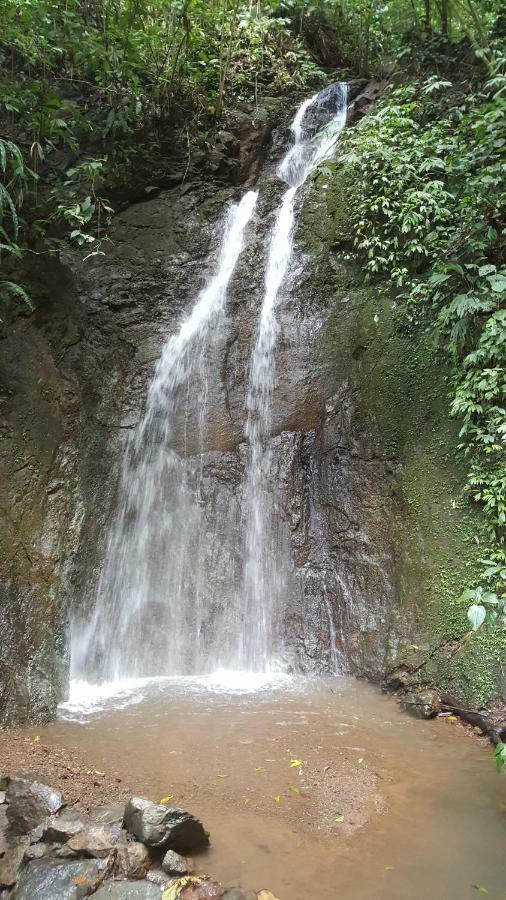 Hacienda Mil Bellezas - Private 40Ha Jungle Reserve Quepos Ngoại thất bức ảnh